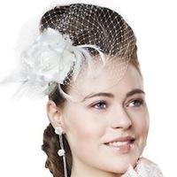 Birdcage Fascinator